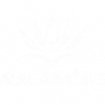 Sans_titre-removebg-preview(2)