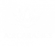 Sans_titre-removebg-preview(2)